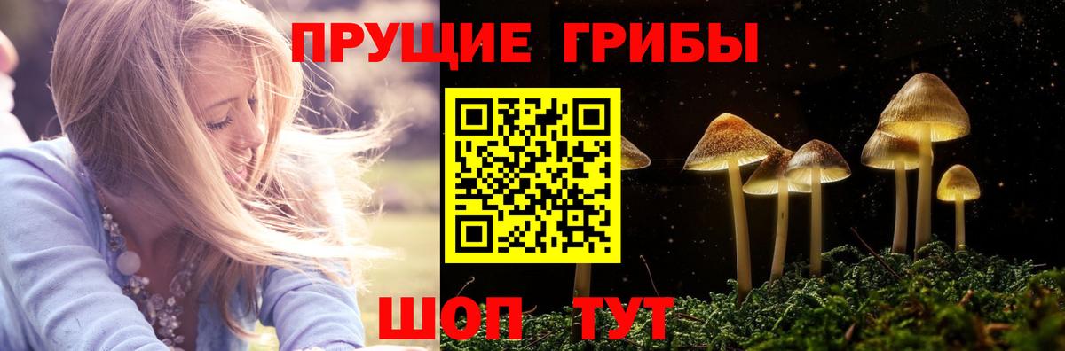 Псилоцибиновые грибы ЛСД  Вход с VPN  Красноярск  Галлюциногенные грибы GOLDEN TEACHER 